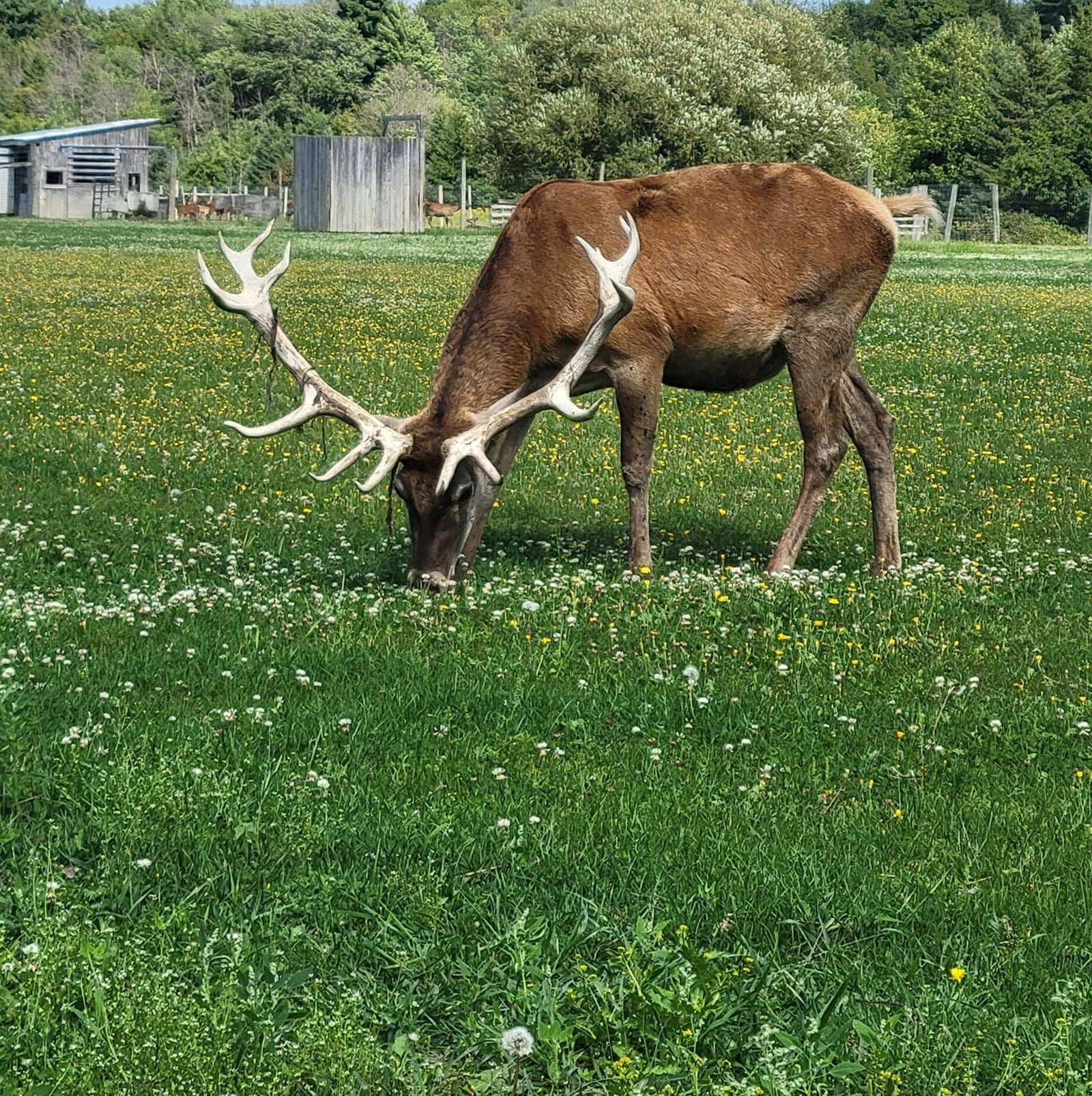 Ferme Dix-Cors
